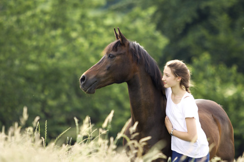 Portrait von Pferd und Mädchen